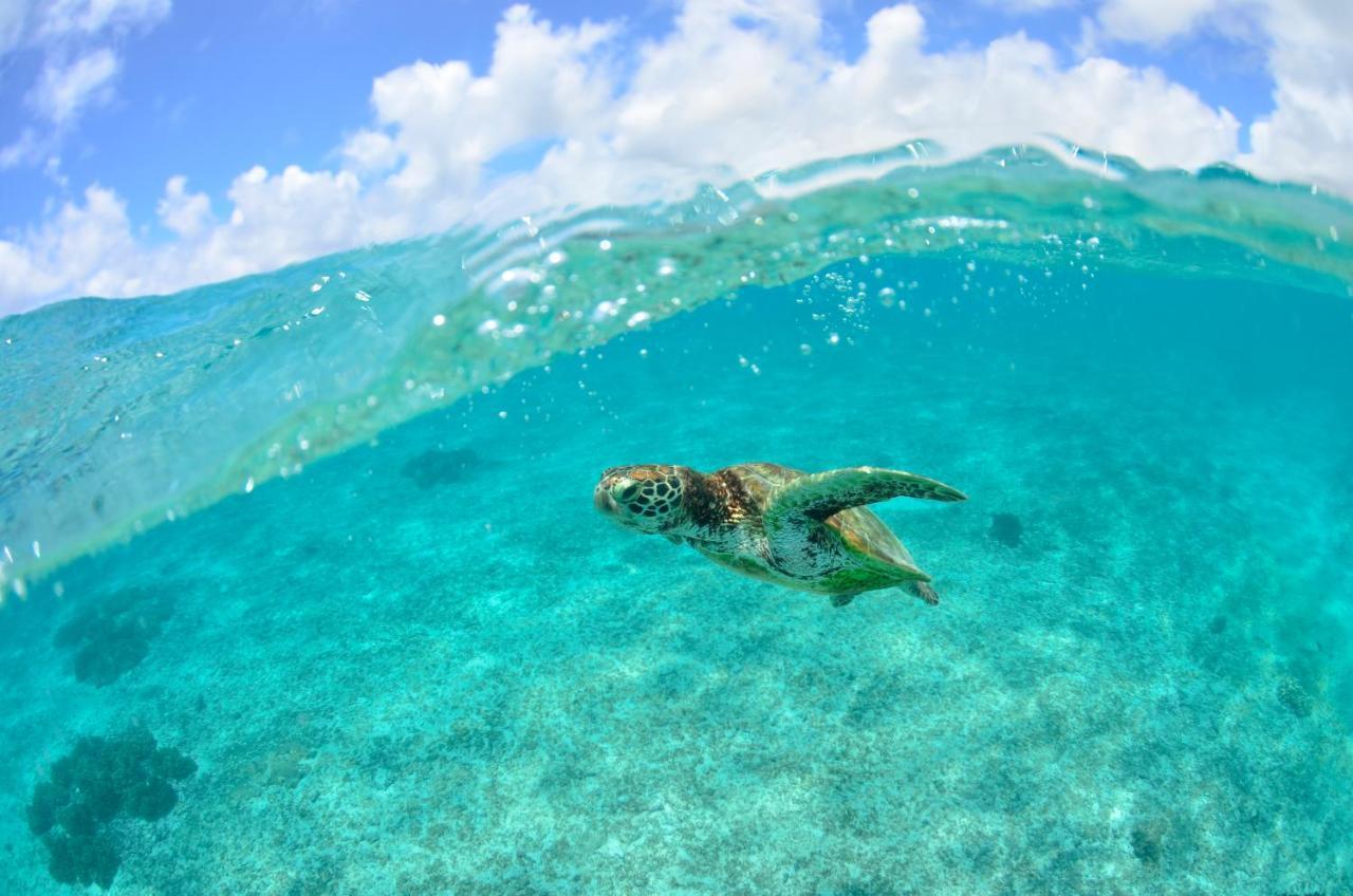 อัลลามันดา อิมกยา โครัล วิลเลจ Villa Miyakojima  ภายนอก รูปภาพ